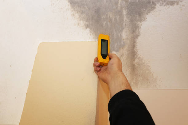 Dehumidification Services in Web, AL